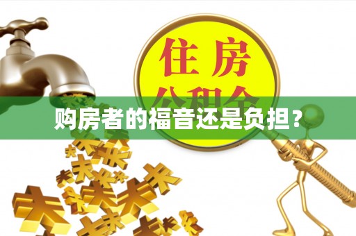 金凤购房者的福音还是负担？