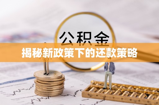 金凤揭秘新政策下的还款策略