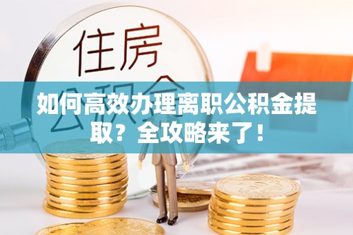 金凤如何高效办理离职公积金提取？全攻略来了！