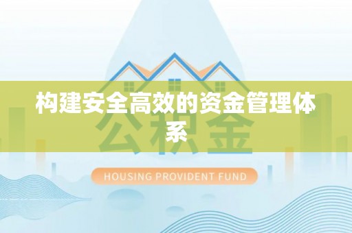 金凤构建安全高效的资金管理体系