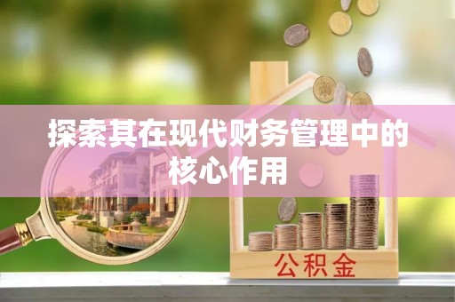 金凤探索其在现代财务管理中的核心作用