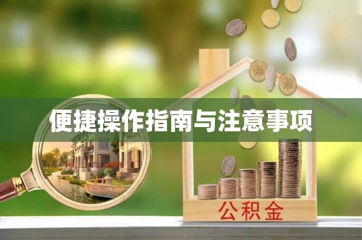金凤便捷操作指南与注意事项